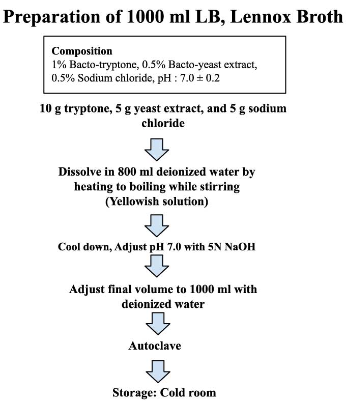 Preparation of LB Lennox Broth Laboratory Notes