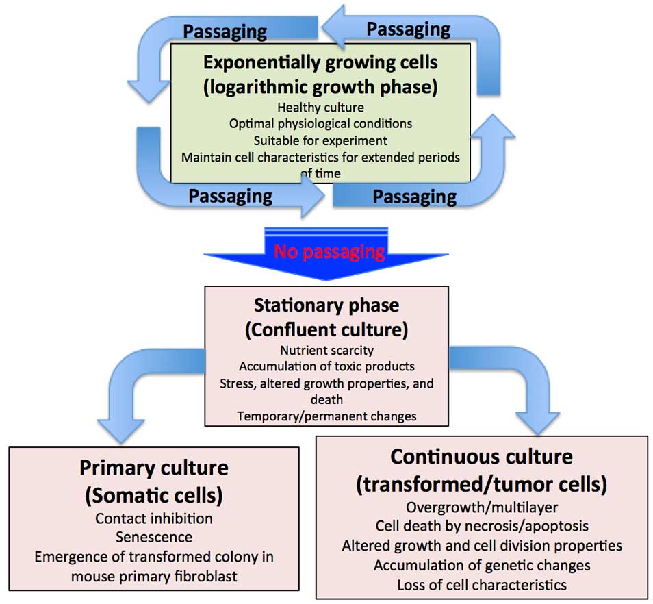 Passaging/subculturing cells Laboratory Notes