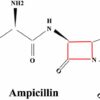 Ampicillin