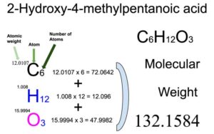 2-Hydroxy-4-methylpentanoic acid [C6H12O3] Molecular Weight Calculation