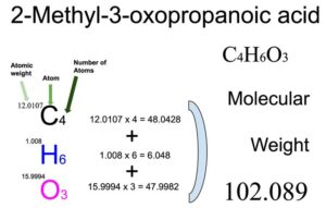 2-Methyl-3-oxopropanoic acid (C4H6O3) Molecular Weight Calculation
