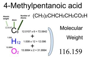 4-Methylpentanoic acid [(CH3)2CHCH2CH2CO2H] Molecular Weight Calculation