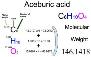 Aceburic Acid [C6H10O4] Molecular Weight Calculation
