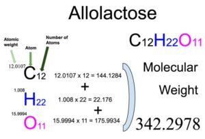 Allolactose (C12H22O11) Molecular Weight Calculation