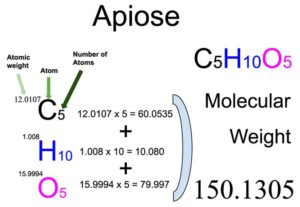 Apiose Molecular Weight Calculation
