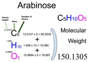 Arabinose Molecular Weight Calculation