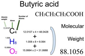Butyric acid [CH3CH2CH2COOH] Molecular Weight Calculation