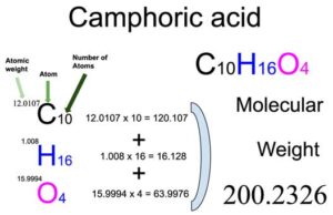 Camphoric Acid [C6H10O4] Molecular Weight Calculation