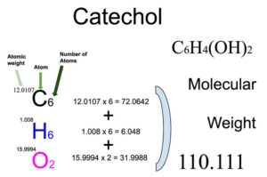 Catechol [C6H4(OH)2] Molecular Weight Calculation