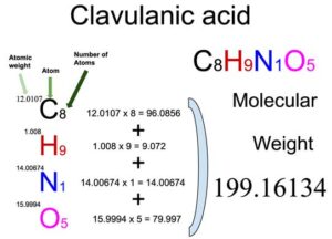 Clavulanic Acid [C8H9N1O5] Molecular Weight Calculation