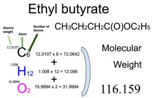Ethyl Butyrate [CH3CH2CH2C(O)OC2H5] Molecular Weight Calculation