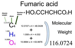 Fumaric acid (HO2CCHCHCO2H) Molecular Weight Calculation