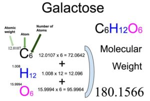 Galactose (C6H12O6) Molecular Weight Calculation