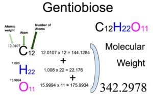 Gentiobiose (C12H22O11) Molecular Weight Calculation