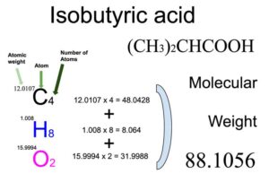 Isobutyric acid [(CH3)2CHCOOH] Molecular Weight Calculation