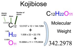 Kojibiose (C12H22O11) Molecular Weight Calculation