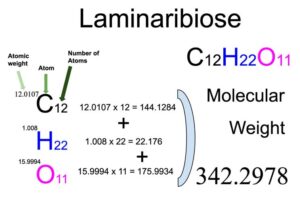 Laminaribiose (C12H22O11) Molecular Weight Calculation