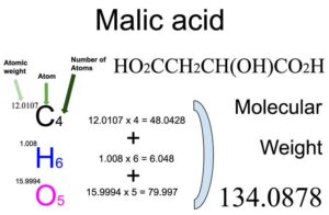 Malic acid (HO2CCH2CH(OH)CO2H) Molecular Weight Calculation