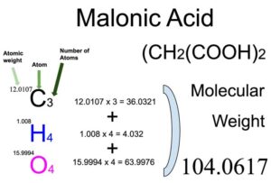 Malonic Acid (CH2(COOH)2) Molecular Weight Calculation