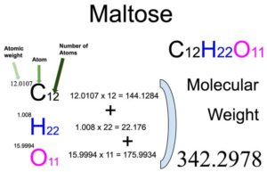Maltose (C12H22O11) Molecular Weight Calculation