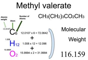 Methyl valerate (Methyl pentanoate) [CH3(CH2)3CO2CH3] Molecular Weight Calculation