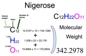 Nigerose (C12H22O11) Molecular Weight Calculation
