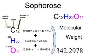 Sophorose (C12H22O11) Molecular Weight Calculation