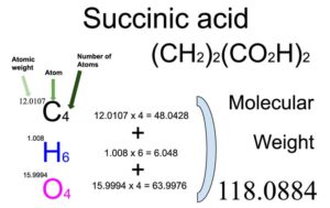 Succinic acid ((CH2)2(CO2H)2) Molecular Weight Calculation