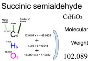 Succinic semialdehyde (C4H6O3) Molecular Weight Calculation