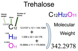Trehalose (C12H22O11) Molecular Weight Calculation