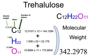 Trehalulose (C12H22O11) Molecular Weight Calculation