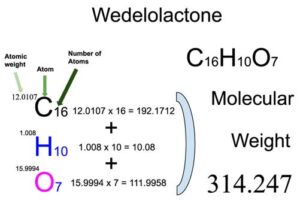 Wedelolactone [C16H10O7] Molecular Weight Calculation