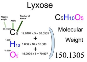 Xylose Molecular Weight Calculation