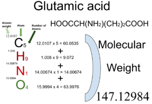 Glutamic Acid [HOOCCH(NH2)(CH2)2COOH2] Molecular Weight Calculation