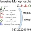 Adenosine monophosphate (C10H14N5O7P) Molecular Weight Calculation