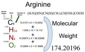 Arginine [(H2N)(HN)CN(H)(CH2)3CH(NH2)COOH] Molecular Weight Calculation