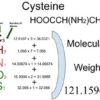 Cysteine [HOOCCH(NH2)CH2SH] Molecular Weight Calculation