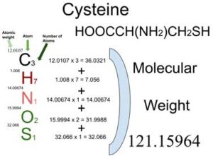 Cysteine [HOOCCH(NH2)CH2SH] Molecular Weight Calculation