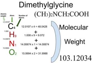 Dimethylglycine [(CH3)2NCH2COOH] Molecular Weight Calculation