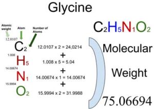 Glycine [C2H5NO2] Molecular Weight Calculation