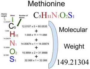 Methionine [C5H11NO2S] Molecular Weight Calculation