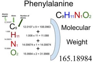 Phenylalanine [C9H11NO2] Molecular Weight Calculation