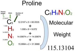 Proline [C5H9NO2] Molecular Weight Calculation