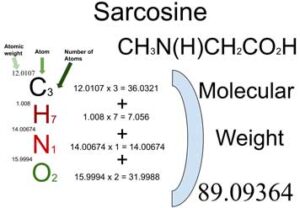 Sarcosine [CH3N(H)CH2CO2H] Molecular Weight Calculation