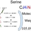 Serine [C3H7NO3] Molecular Weight Calculation