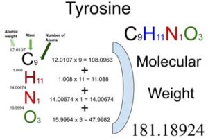 Tyrosine [C9H11NO3] Molecular Weight Calculation