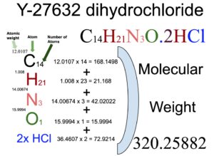 Y-27632 dihydrochloride [C14H21N3O.2HCl] Molecular Weight Calculation