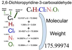 2,6-Dichloropyridine-3-carboxylic acid [C6H3Cl2NO2] Molecular Weight Calculation