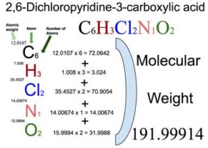 2,6-Dichloropyridine-3-carboxylic acid [C6H3Cl2NO2] Molecular Weight Calculation