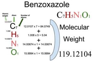 Benzoxazole [C7H3Cl2NS] Molecular Weight Calculation